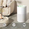 HEPA Air Purifier with Scented Sponge